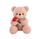 Peluche Ours<br> Amour