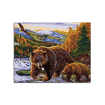 peinture par numero ours