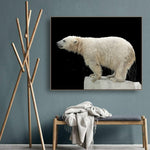 tableau d'ours polaire