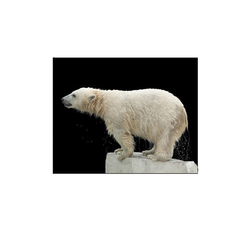 tableau d'ours polaire